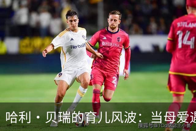 哈利·贝瑞的育儿风波：当母爱遇到误解